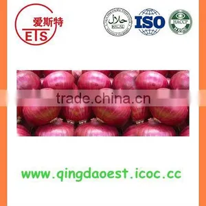 Best Quality Fresh Red/yellow/white Onion From China thumbnail-1