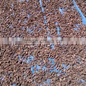 VietNam Cardamom thumbnail-3