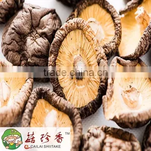 High Quality Dried Shiitake Mushroom, High Quality Shiitake Freeze Dried Shiitake Mushroom thumbnail-1