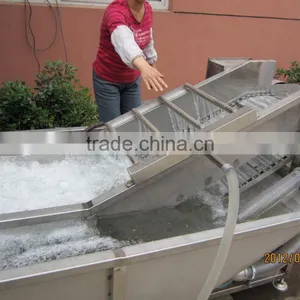 Automatic Vegetable Washing Machine,fruit Washing Equipment thumbnail-3