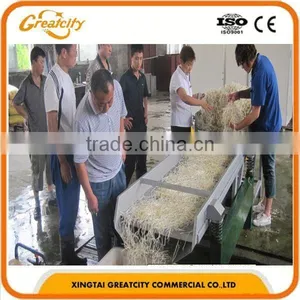 Bubble Type Kelp Washing Machine|Mushroom and Bean Sprout Cleaning Machine thumbnail-1