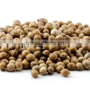 Coriander Seeds thumbnail-3