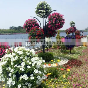 Plastic Flower Pot for Home Garden Decoration thumbnail-5