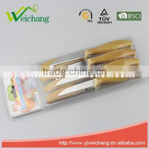 WCE2440 Hot Sale Cutlery Set 12 Pcs Stainless Steel With Plastic Handle Steak Knife Set thumbnail-2