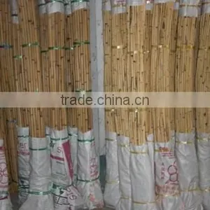 Polo Stick, Manau Root, Rattan Root, Cane Root, Root, Rattan Cane Root, Asam Root, Walking Stick With Root thumbnail-1