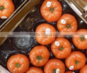 SGS/China/ PP Tray Liners for Pear thumbnail-2