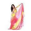 Fancy Soft Belly Dance Silk Veil , 2 Pcs Belly Dancing Performance Wear thumbnail-1