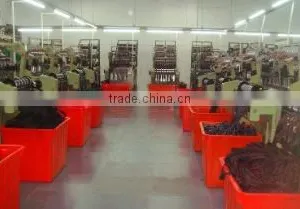 Xiamen Xin Jie Feng Co., Ltd. company overview - view 2 thumbnail