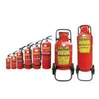 QINHUANGDAO MARINE LIFERAFT INSPECTION AND FIRE-EXTINGUISHER INSPECITON thumbnail-2