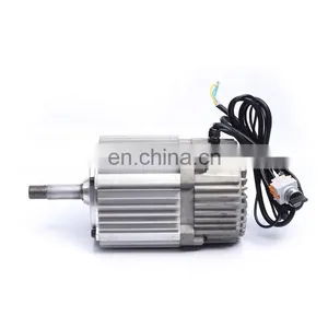Custom 220Vac 1000w 2000w 250w 2kw 36v 250w 3000w Bldc Hub Motor Car Brushless dc Motor thumbnail-6