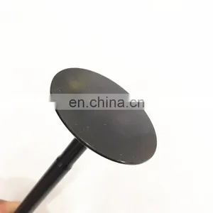 Racing Car Applications Spare Parts Accessories Engine Valve For Hyundai Xcent SX Grand I10 1.0D 1.0 1.2 D Diesel thumbnail-7