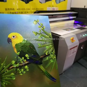 Caiyi UV Flatbed Printer (CY-UV2518) for Wood, Steel, Glass and Ceramic thumbnail-2