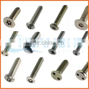 China Supplier Excellent Quality Torx Anti-theft Screw thumbnail-3