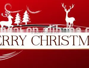 Christmas Promotion Banner thumbnail-1