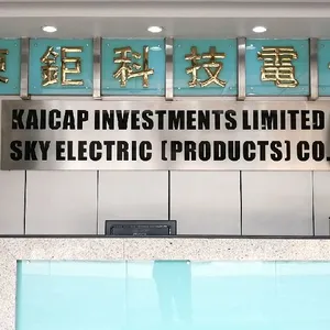 Kaicap Investments Limited company overview - view 1 thumbnail