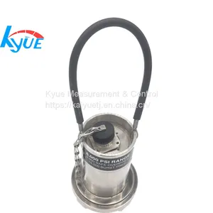 Wellhead Union Pressure Sensor thumbnail-1