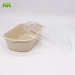New Hot Disposable Biodegradable Single Compartment Salad Box Bagasse Food Box Take Away Sugarcane Container thumbnail-2