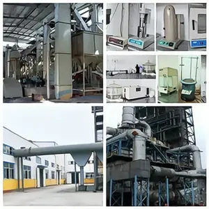 Shijiazhuang Servemine Imp&Exp Co.,Ltd company overview - view 1 thumbnail