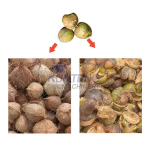 High Capacity Coconut Husk Decorticating Defibering Machine Coconut Dehusk Fiber Machine EPC thumbnail-5