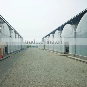 Low Commercial Greenhouse Cost thumbnail-2