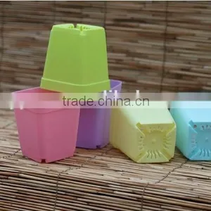 Mini PP Plastic Flower Pot Colorful thumbnail-1