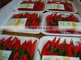 Hot Red Peper thumbnail-1