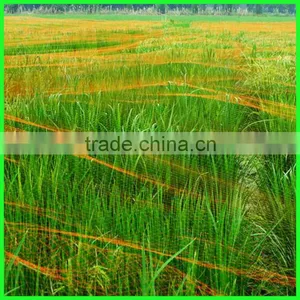 Pure HDPE Woven Plastic Mesh, Reused Mist Bird Netting thumbnail-3