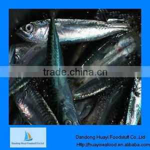 Frozen Mackerel Fish Benifits thumbnail-1