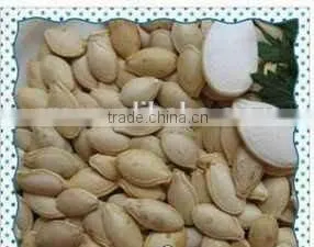 Roasted Cashew Nut and Salty Shine Skin Pumpkin Seeds thumbnail-6