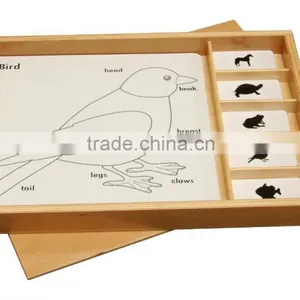 Physics Teaching Aids Model Animal Puzzle Activity Set thumbnail-1