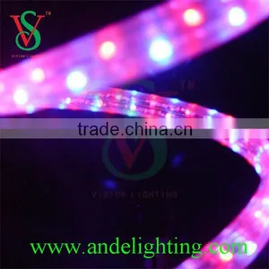 High Brightness PVC 3 Wires Flat 220v Led Rope Light for Decoration thumbnail-1