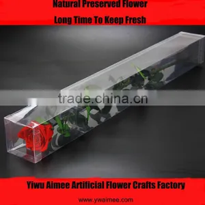 2016 Yiwu Aimee Wholesale Dubai Importers Hotsale Preserved Fresh Flower(AM-PF03) thumbnail-1