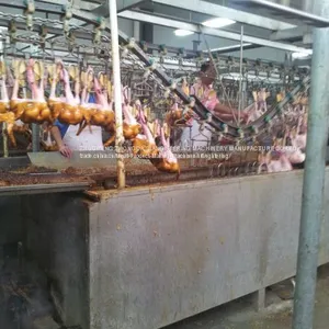 DUCK SLAUGHTER AND ABATTOIR MACHINE thumbnail-3