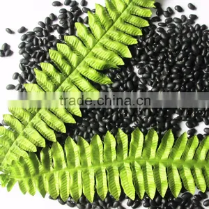 Dired China Bean for Sale in for Black Bean for Sale thumbnail-1
