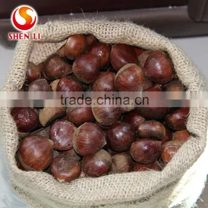 Big Size 2016 New Crop Fresh Dandong Chestnut for Advance Sale thumbnail-2