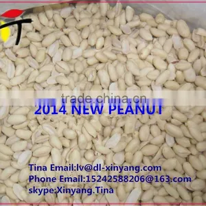 Shandong/wholesale Peanuts/groundnut thumbnail-1
