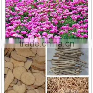 Dried Crude Pieces of Peony Roots thumbnail-1