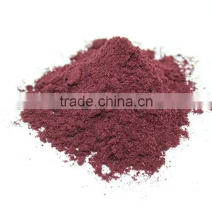 Freeze Dried Blueberry Powder thumbnail-1