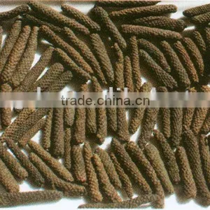 Long Pepper thumbnail-1