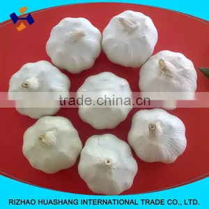 Pure White Fresh Garlic Size6.0cm thumbnail-1