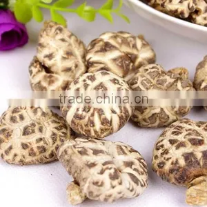 Hot Sale Log White Flower Mushroom thumbnail-5