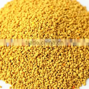 Flower Period Fresh Bee Pollen for Human and Bee thumbnail-1