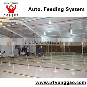 Poultry Equipment in Animal Feeder thumbnail-4