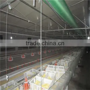 Feeding System for Chicken Farm thumbnail-5