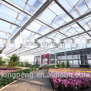 Chrysanthemum Growing Glass Greenhouse thumbnail-1