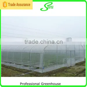 Agriculture Poly Tunnel Greenhouse for Sale thumbnail-5
