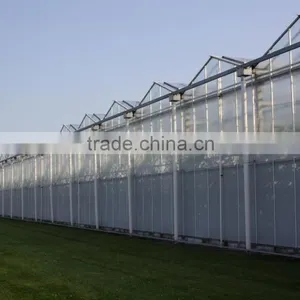 Large Multi-span PE Film Green House Agriculture & Commercial Used Greenhouse thumbnail-4