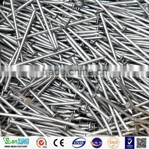 Common Nails for Construction Usage Iron Nails thumbnail-5