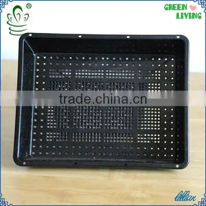 PP HOT SALE Plastic Growing Tray thumbnail-5