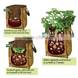 Cucumber Grow Planter Bag thumbnail-1